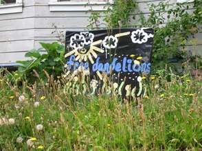 Wild foods and medicines