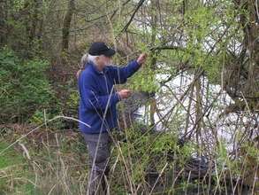 Portland Ethnobotany Project