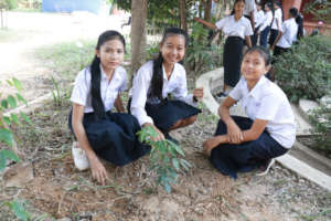 Tree planting