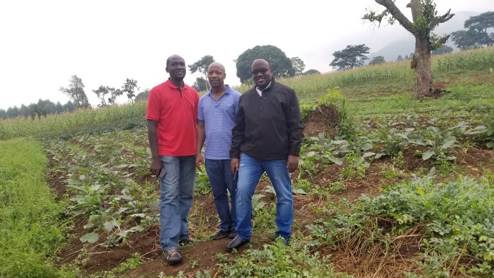 Give a new life to 200 rural Ugandan women