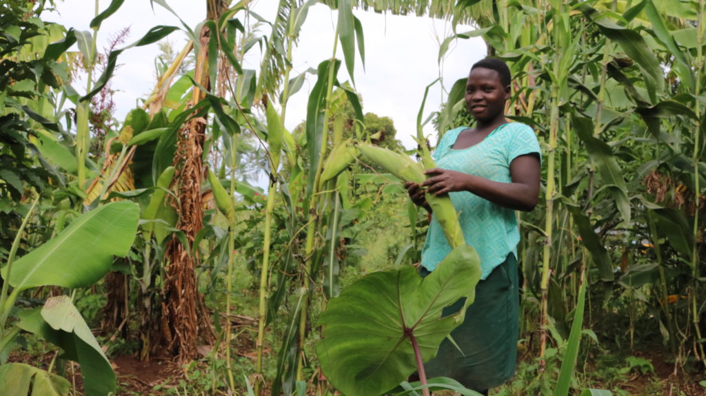 Give a new life to 200 rural Ugandan women