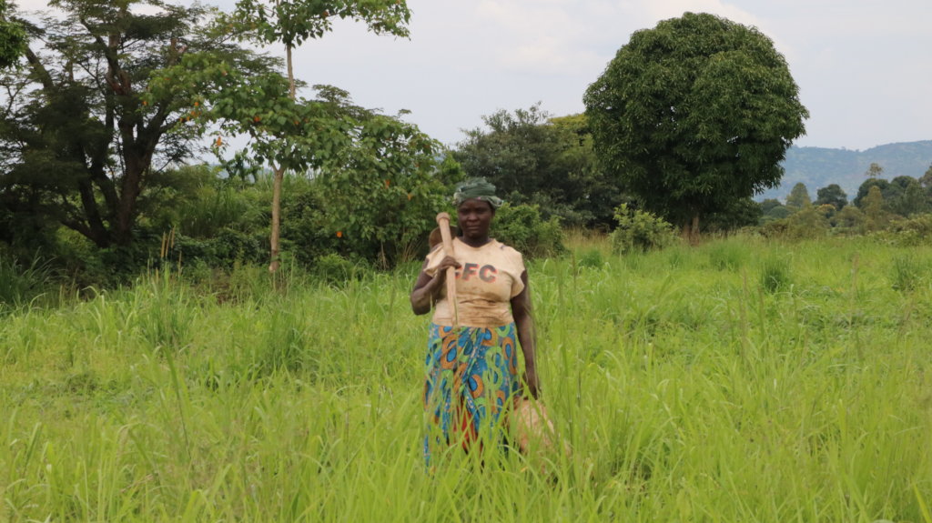 Give a new life to 200 rural Ugandan women