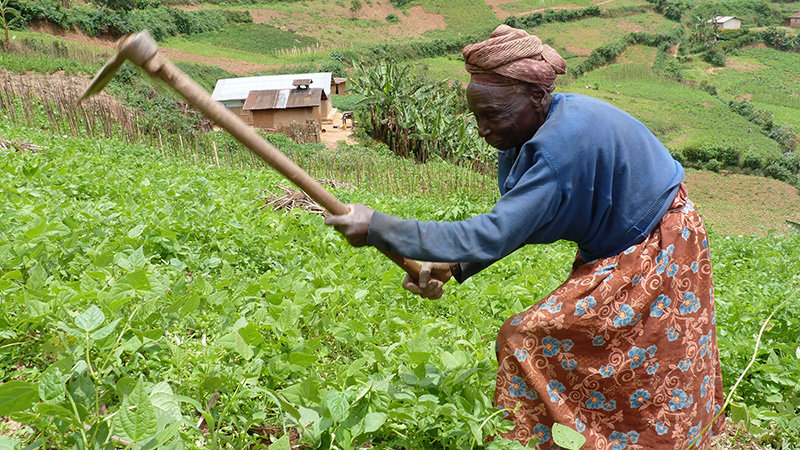 Give a new life to 200 rural Ugandan women