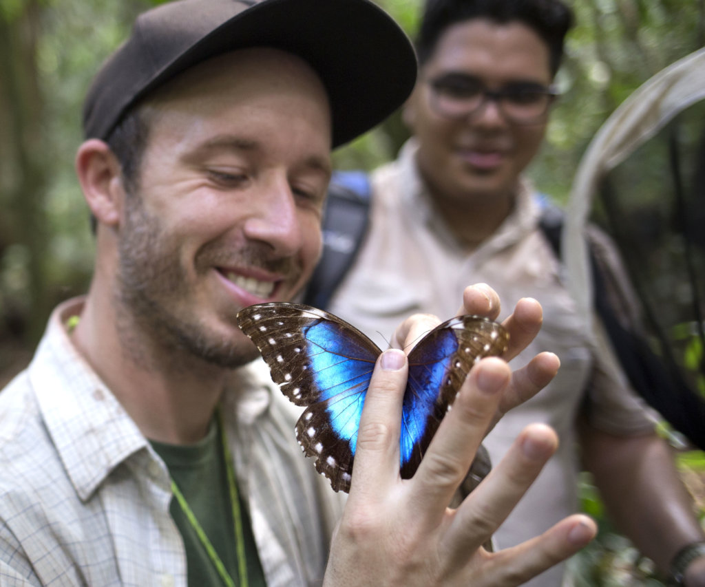 The Amazon Burning - Kids and Bugs to the Rescue!
