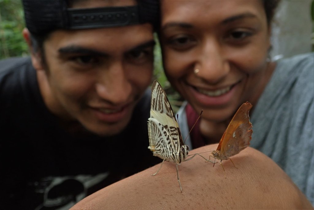 The Amazon Burning - Kids and Bugs to the Rescue!