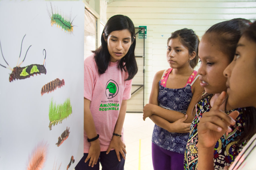 The Amazon Burning - Kids and Bugs to the Rescue!