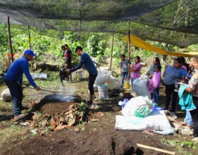 produccion abonos / compost production