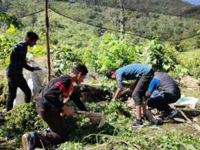 produccion abonos / compost production