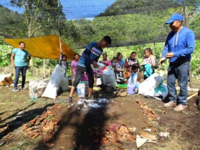 abonos organicos / organic compost