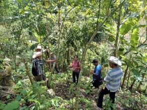 Tecnicas Cultivo Cafe / Coffee Growing Methods
