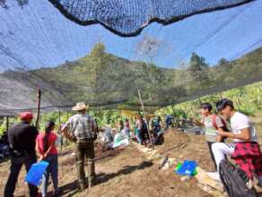 agricultura diversificada/diversified agriculture