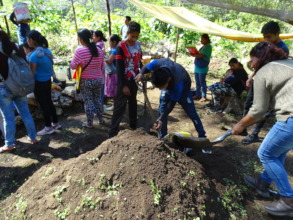 produccion abonos / compost production