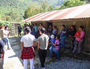 agricultura diversificada/diversified agriculture