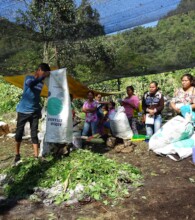 produccion abonos / compost production