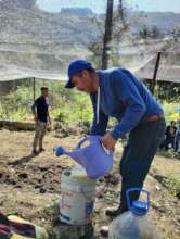 abonos organicos / organic compost