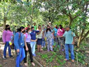 Conservacion de Suelos / Soil Conservation