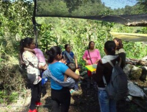 produccion abonos / compost production