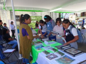 educacion ambiental / environmental education