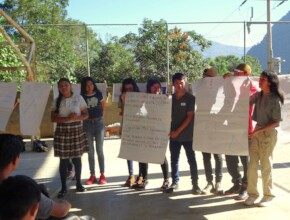 educacion ambiental / environmental education