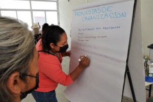 Planeacion Productores / Grower Planning