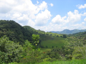 Territorio / Territory - Uxtuapan Xilitla