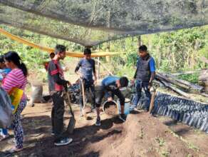 produccion abonos / compost production