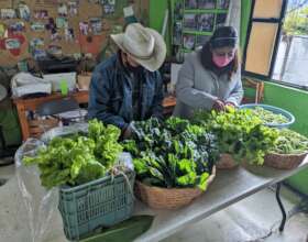 Economia solidaria / Fair trade