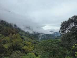 Proteccion Biodiversidad / Biodiversity Protection