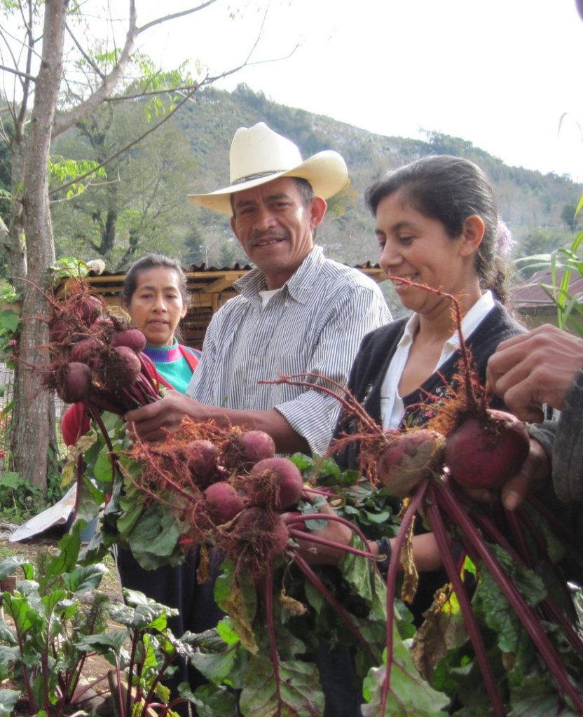 Sustentabilidad para la Vida en la Sierra Huasteca