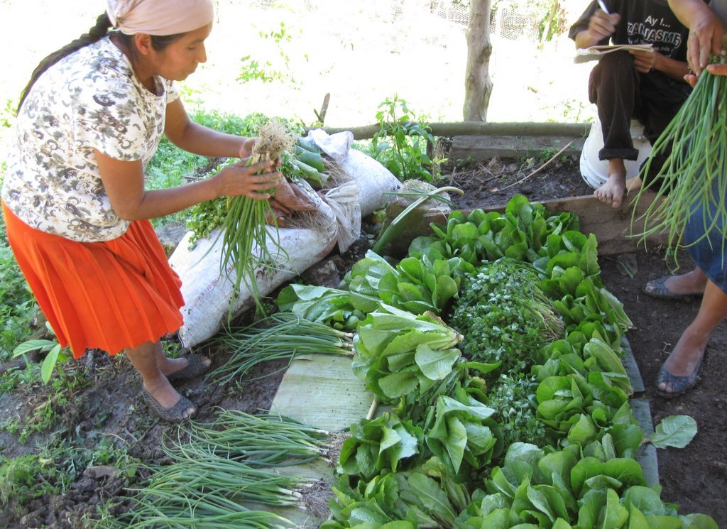 Sustentabilidad para la Vida en la Sierra Huasteca