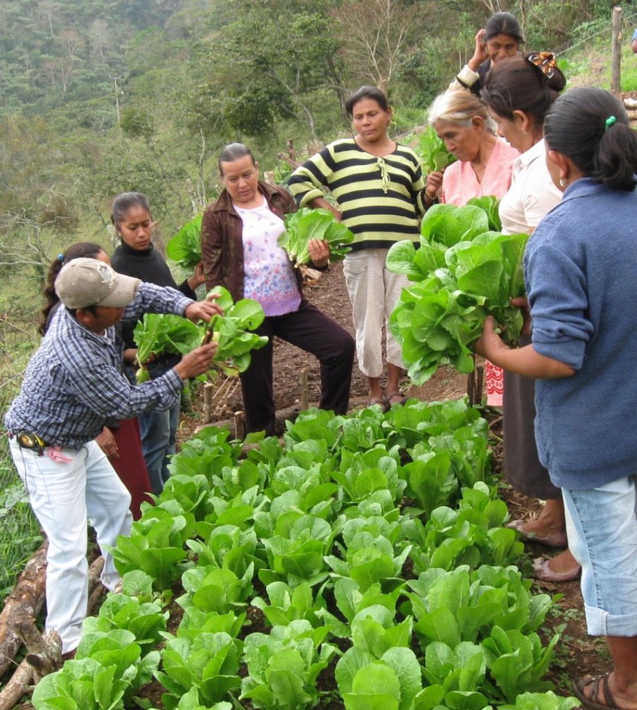 Sustentabilidad para la Vida en la Sierra Huasteca