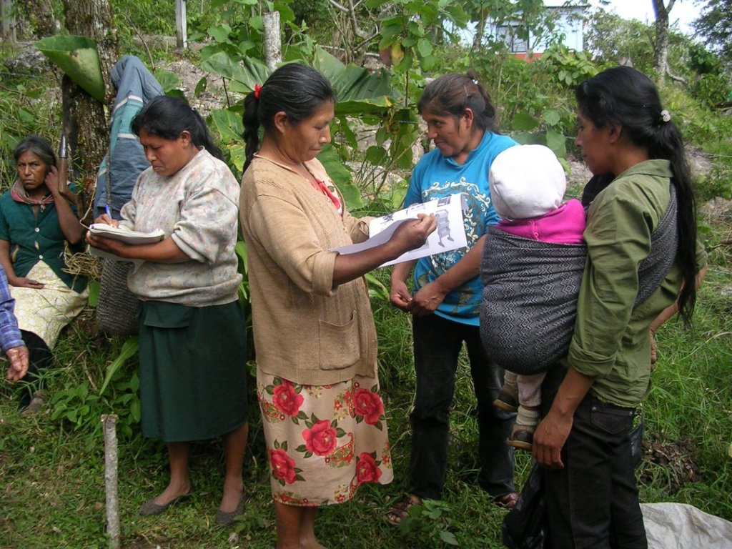 Sustentabilidad para la Vida en la Sierra Huasteca