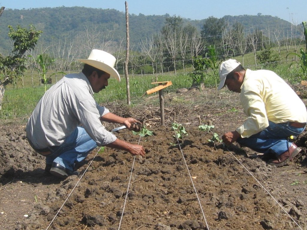 Sustentabilidad para la Vida en la Sierra Huasteca