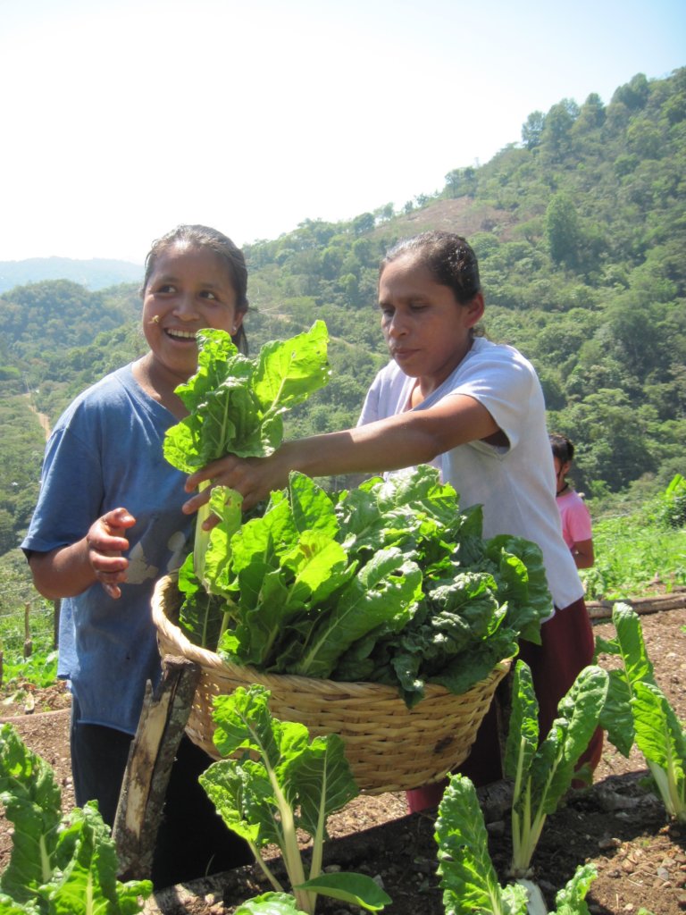 Sustentabilidad para la Vida en la Sierra Huasteca