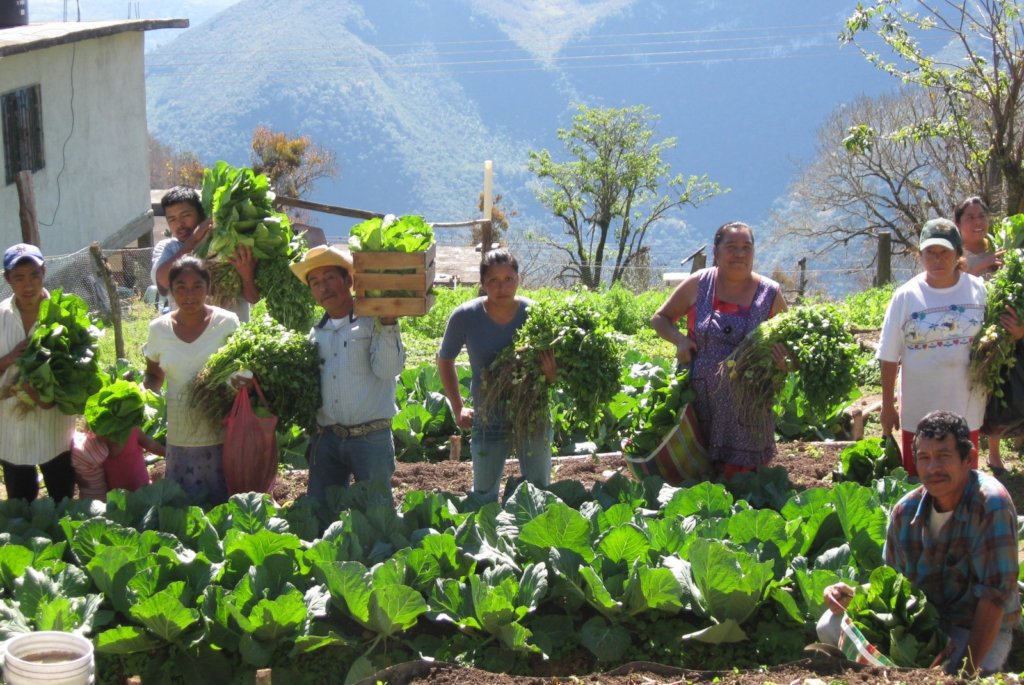 Sustentabilidad para la Vida en la Sierra Huasteca