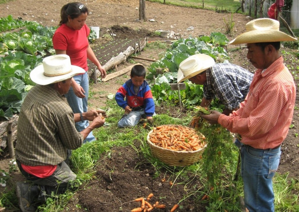 Sustentabilidad para la Vida en la Sierra Huasteca