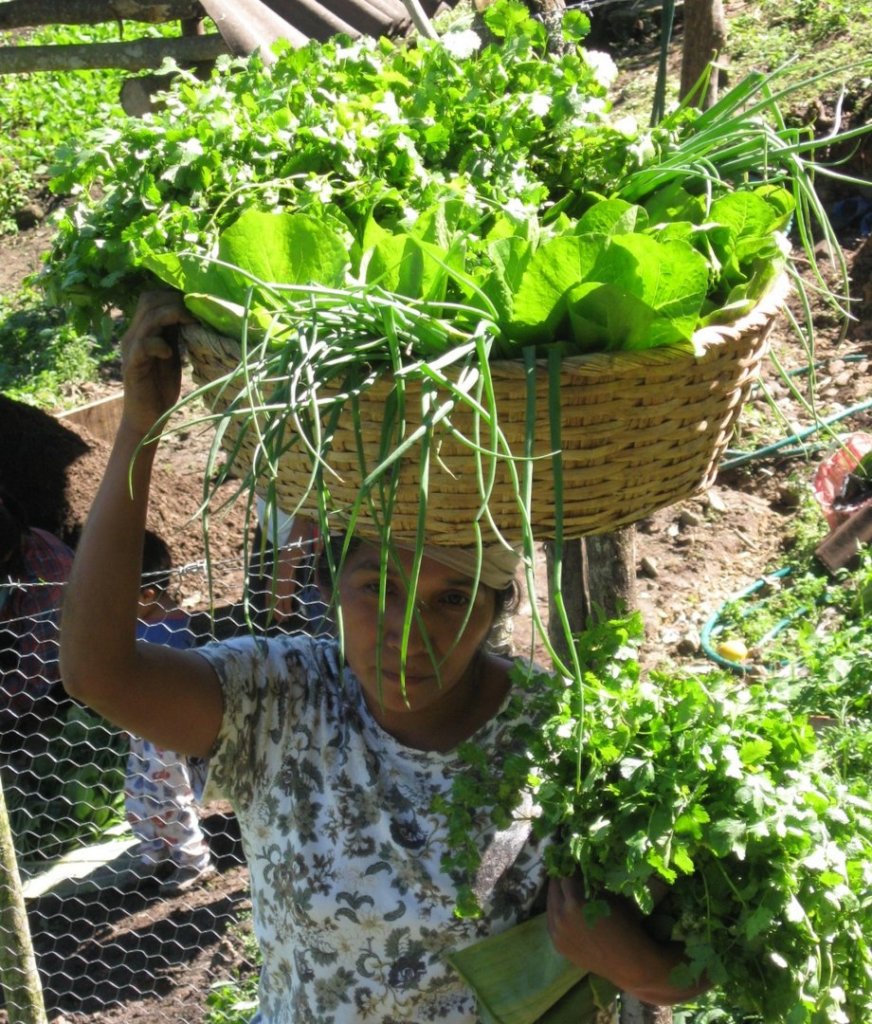 Sustentabilidad para la Vida en la Sierra Huasteca