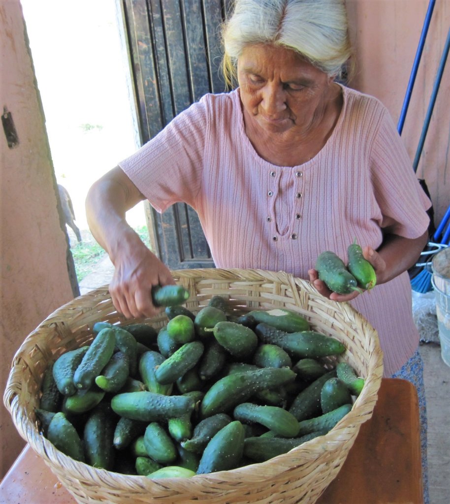 Sustentabilidad para la Vida en la Sierra Huasteca