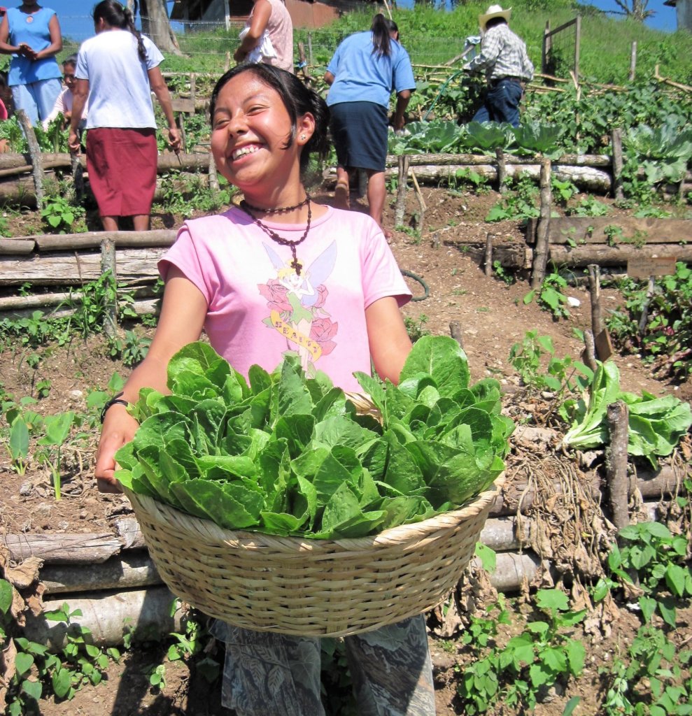 Sustentabilidad para la Vida en la Sierra Huasteca
