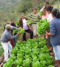 Agriculture training - Capacitacion agricola