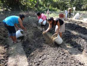 Agricultura sustentable - Sustainable agriculture