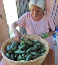Hortalizas organicas - Organic agriculture