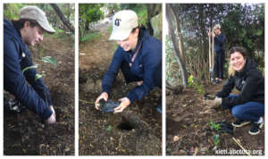 Native trees being planted at Xieti nature reserve
