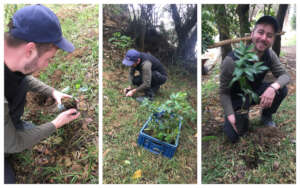 Native trees being planted at Xieti nature reserve