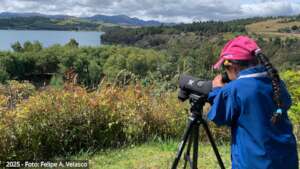 Field observation workshop, using a spotting scope