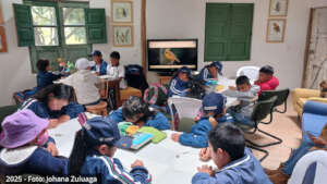 Art workshop with local kids-bird illustration