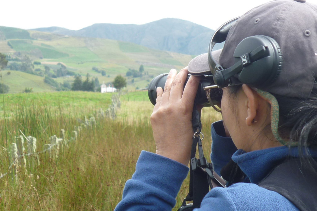 Art & Education to Save a Bird from Extinction