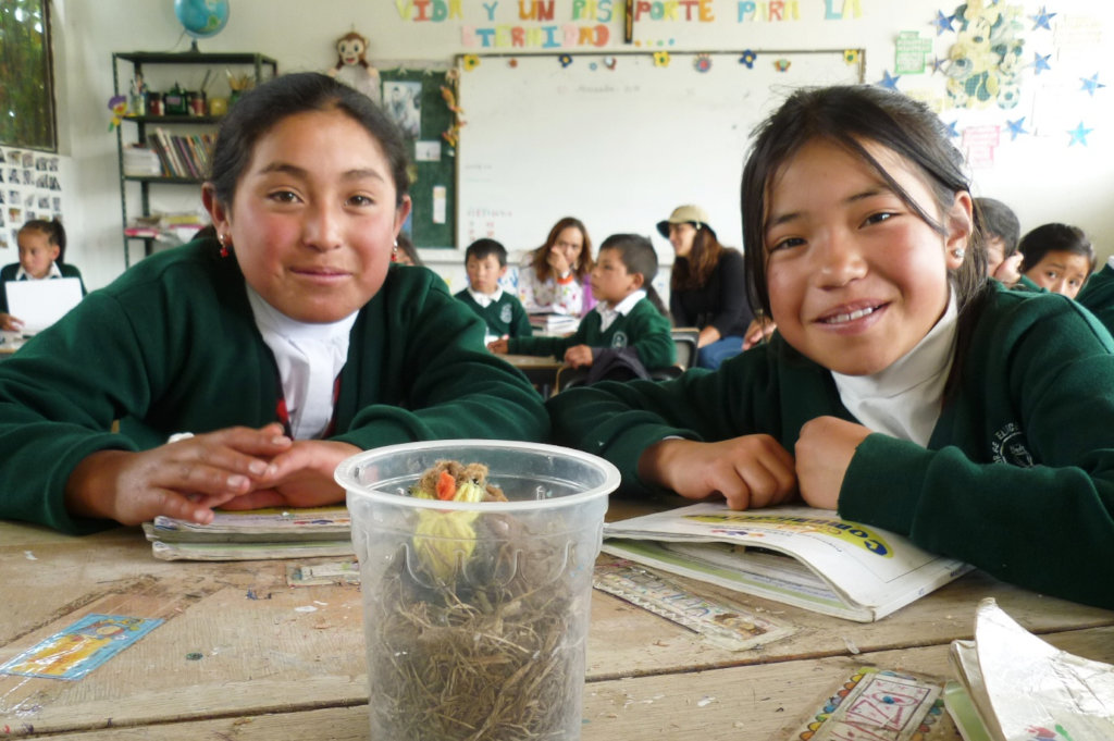 Art & Education to Save a Bird from Extinction