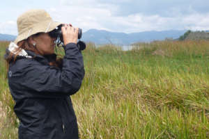 Juanita is birding, in search for Apolinar's Wren