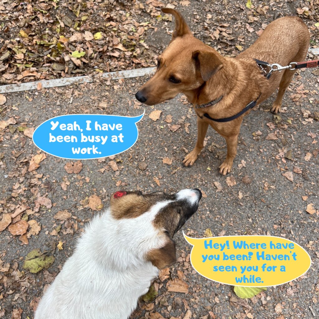 Dobby with friend